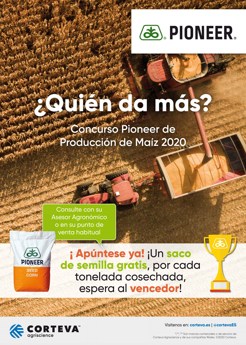 Cartel